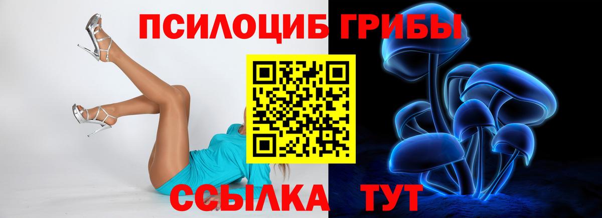 Углич  Галлюциногенные грибы Cubensis  Вход с VPN 